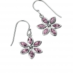 Jewellery   Swarovski Earrings