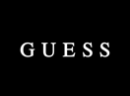 Guess Purse